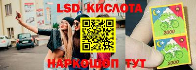 индика Кандалакша