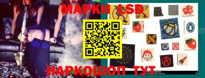индика Кандалакша