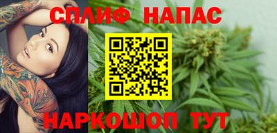 индика Кандалакша