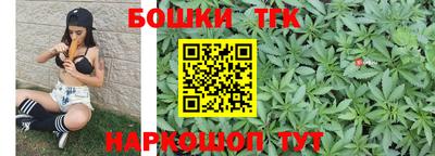 индика Кандалакша