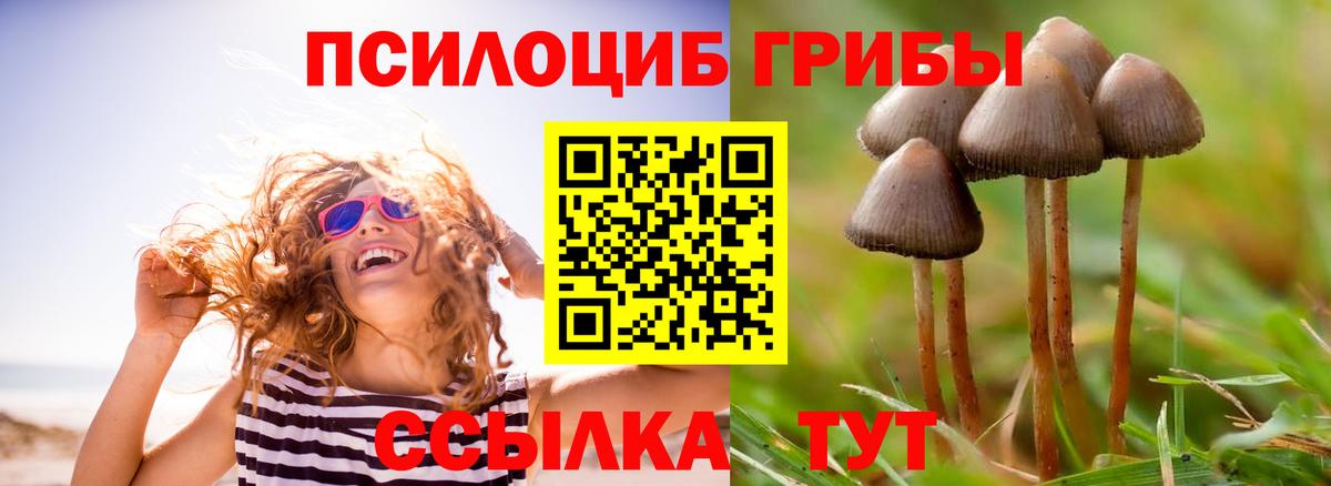 Кунгур  Галлюциногенные грибы мицелий  Вход с VPN  Галлюциногенные грибы GOLDEN TEACHER 
